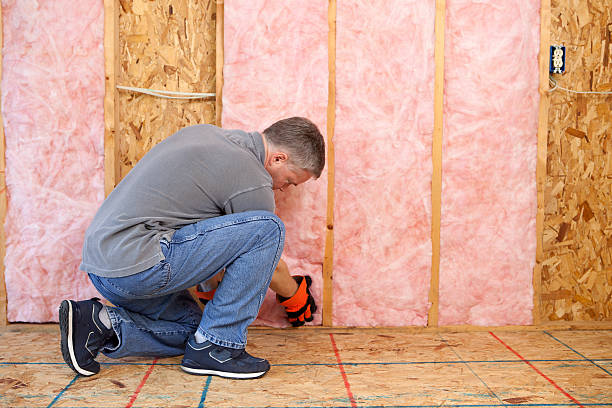 Best Energy Efficiency Solutions in Perry, MI